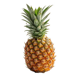 Fototapeta premium pineapple isolated on white