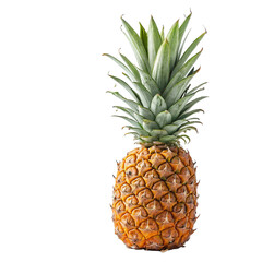 pineapple isolated on white