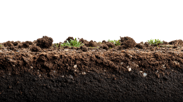 Cross-Section of Earth: Explore the intricate layers of the earth, from the rich topsoil teeming with life to the deeper, mineral-rich depths, a visual representation of our planet's foundations.