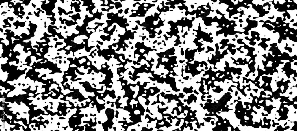 Poster a striking black and white abstract pattern with irregular shapes and a textured, grainy appearance,