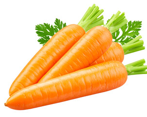  Crisp Fresh Orange Carrots
