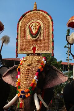 classical pooram festivels in thrissur, kerala, india. Elephant with Pageants showcase festive parade is usually accompanied by a percussion orchestra. No models in this photo only public peoples
