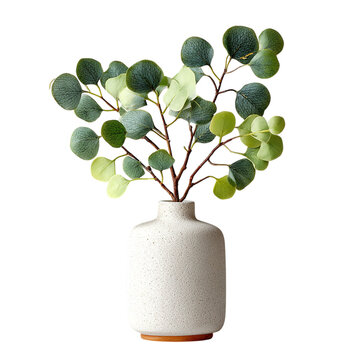 Modern ceramic vase with eucalyptus stem - isolated white background 