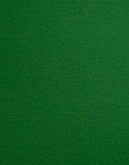 Uniform green textured surface