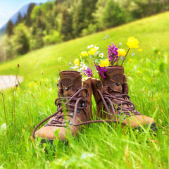 fresh wildflowers in hiking boots on a Meadow in autumn season