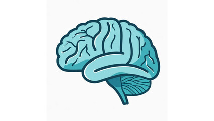 Hand-Drawn Human Brain