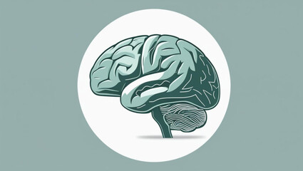 Hand-Drawn Human Brain