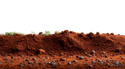 Arid Earth's Texture: A detailed depiction of arid soil showcases rich earth tones, capturing a raw and elemental scene.