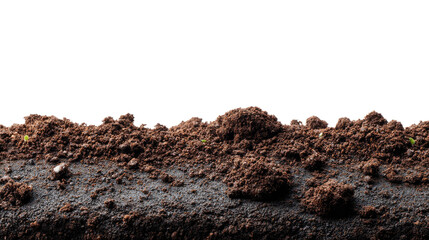 The Earth's Embrace: A close-up of rich, dark soil, revealing the textures and layers of the earth's surface.