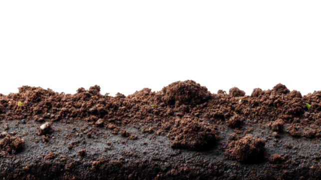 The Earth's Embrace: A close-up of rich, dark soil, revealing the textures and layers of the earth's surface.