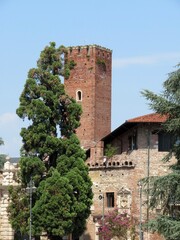 Vicenza