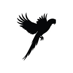 Macaw with Open Wings Silhouette – Exotic Bird Vector Illustration