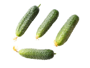 Four cucumbers are shown in a row, with one of them having a yellow stem