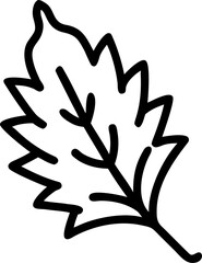 A detailed elegant illustration of a single cypress leaf showcasing its natural texture and form perfect for botanical or nature themed designs