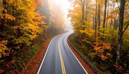 Obraz premium Richly Textured Dark Wood Plank Background with Natural Grain Patterns and Knot Details