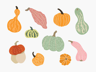 Collection of Colorful Gourds and Pumpkins Illustration. White background, isolate