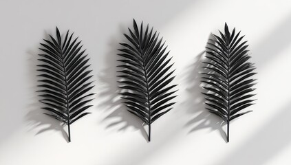 Fototapeta premium Three dark palm leaves against a light background, casting shadows