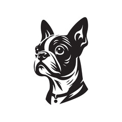 Boston Terrier Dog Vector Silhouette – Distinctive Small Breed Outline Design, Perfect for Pet Lovers, Canine Art, Logos, Prints, Home Decor, Illustrations, and Graphic Projects
