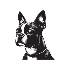 Boston Terrier Dog Vector Silhouette – Distinctive Small Breed Outline Design, Perfect for Pet Lovers, Canine Art, Logos, Prints, Home Decor, Illustrations, and Graphic Projects
