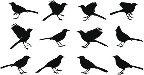 Set of flying and standing small bird silhouettes, black vector birds clipart, wild bird shapes collection for nature, wildlife, and animal design themes