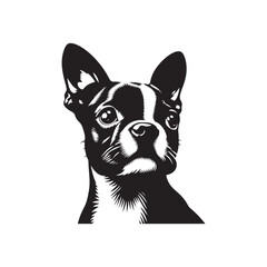 Boston Terrier Dog Vector Silhouette – Distinctive Small Breed Outline Design, Perfect for Pet Lovers, Canine Art, Logos, Prints, Home Decor, Illustrations, and Graphic Projects

