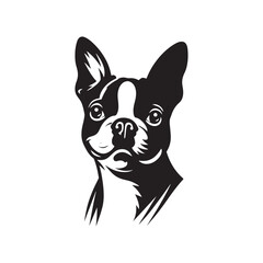 Boston Terrier Dog Vector Silhouette – Distinctive Small Breed Outline Design, Perfect for Pet Lovers, Canine Art, Logos, Prints, Home Decor, Illustrations, and Graphic Projects
