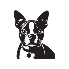 Boston Terrier Dog Vector Silhouette – Distinctive Small Breed Outline Design, Perfect for Pet Lovers, Canine Art, Logos, Prints, Home Decor, Illustrations, and Graphic Projects
