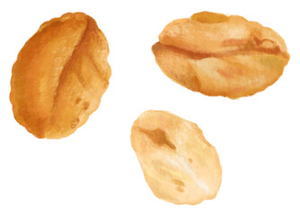 Peanut seed png food, transparent background