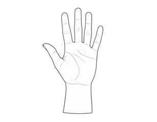 Minimalist Raised Hand with Open Palm Outline, Front View, Thin Line Style, Isolated on Transparent Background
