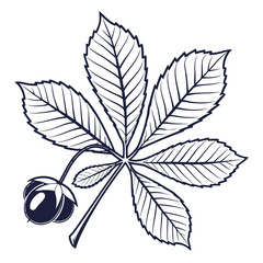 Horse Chestnut Leaf and Conkers Illustration