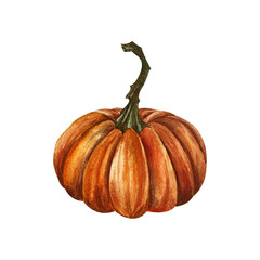Orange pumpkin with stem. Watercolor illustration isolated from background. Hand drawn autumn ripe textured vegetable. For composition of Halloween design, decoration, postcards. Logo packaging