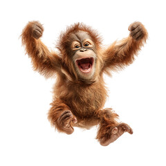Happy Orangutan Four Legs Isolated