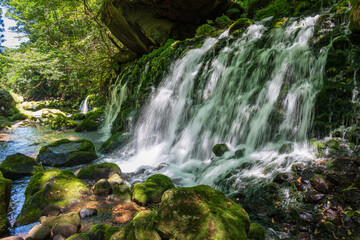 絶え間なく湧き水が溢れ出す緑の中の滝