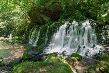 絶え間なく湧き水が溢れ出す緑の中の滝