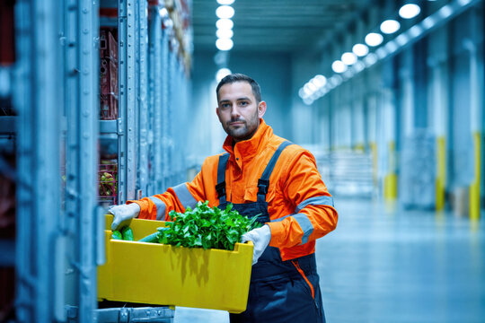 Warehouse worker handling fresh produce in distribution center