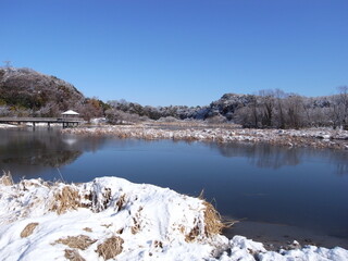 池と森のある冬の朝の残雪の21世紀の森と広場風景