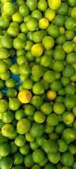fresh lime fruit