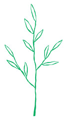 Leaf png cute green doodle illustration with branch