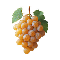 bunch of grapes