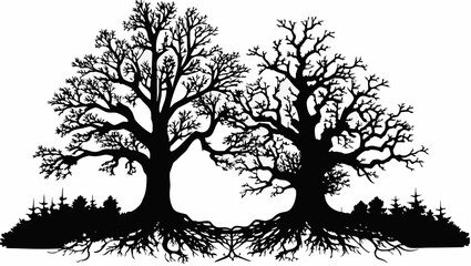 Two silhouetted trees with intertwined roots and bare branches against a white background in a forest scene