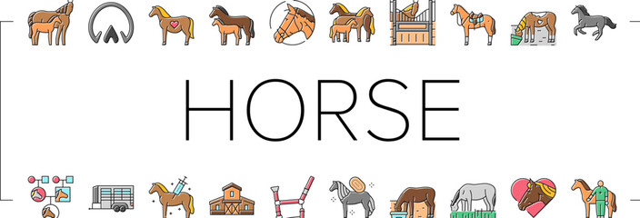 horse breeding equestrian icons set vector
