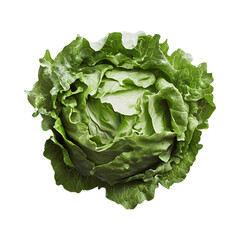 green lettuce on white background