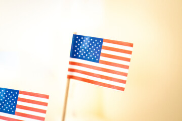 Miniatures of the United States American Flag
