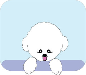 Adorable cute white puppy peeking out of the window