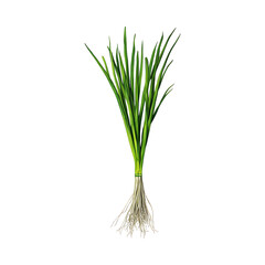 fresh green onion
