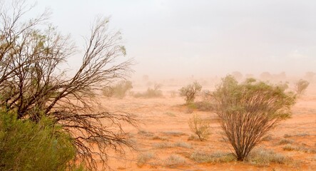 A wild sandstorm approached suddenly Rainbow Valley in the outback of central Central Australia near Alice Spring, home to the Arrernte people, 
