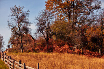 Autumn colored trees and countryside landscape scenery.