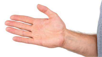Open hand isolated on transparent background showing palm and fingers extended