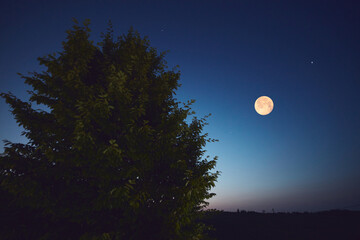 Full Moon with stars, planets and rural countryside tree silhouettes.