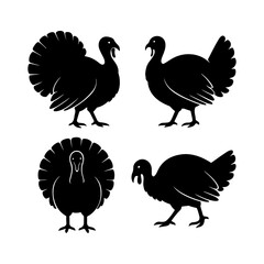 set of birds vector illustration